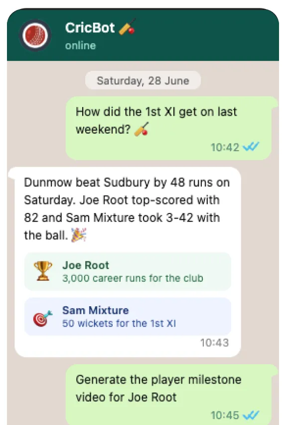 CricBot club stats bot